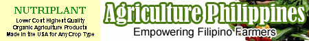 Agriculture Philippines - Empowering Filipino Farmers