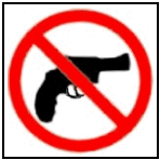 election gun ban