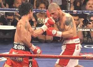 Pacquiao-Cotto boxing fight