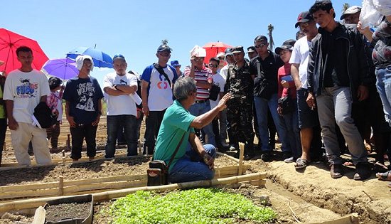 organic farming