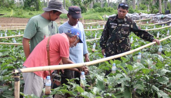 Bangon vegetable farm