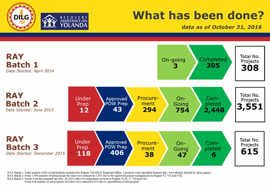 Recovery Assistance on Yolanda (RAY) program