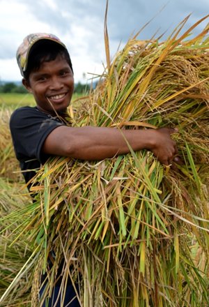 agrarian beneficiary Leonardo Nayon