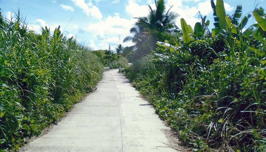 Brgy. Gajo Farm to Market Road