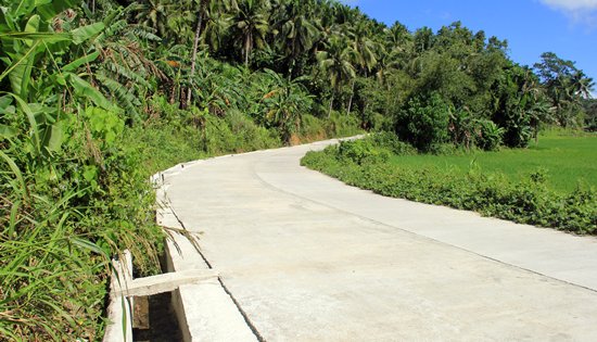 Sta. Margarita, Samar farm to market road