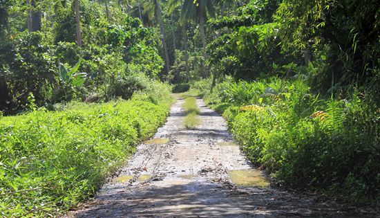 road to Mapaso Hot Spring