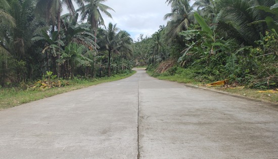 Gandara-Matuguinao Road portion