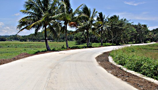 Carayman-Naga-Cogon road