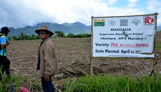 Magsasaka ng Libongao Farmers Association (MAGSALIA)