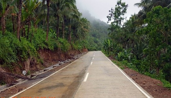 Biliran access road