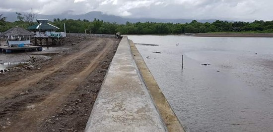 leyte flood-control project