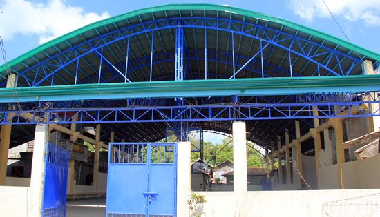 multi-purpose buildings in Samar