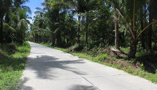 Leyte farm-to-market (FMR) roads
