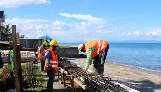 Dulag seawall project