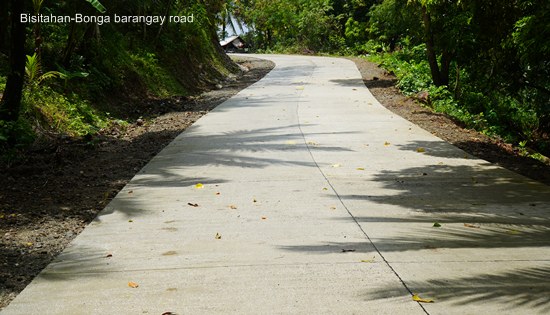 Bisitahan-Bonga barangay road