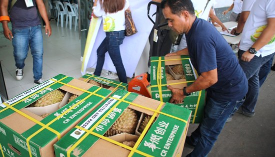 shipping of fresh Durian from Davao City to China