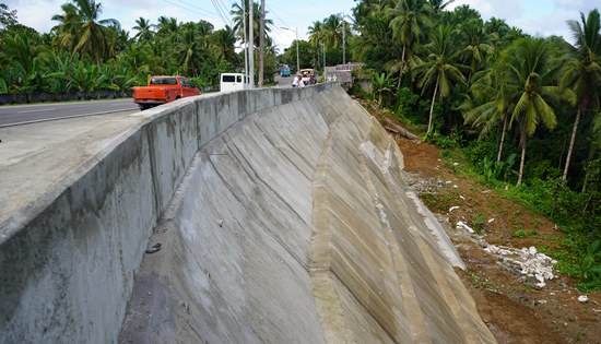 Brgy. Rosalim slope protection structure