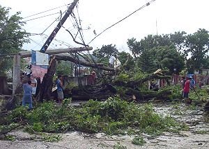 Electric posts and trees toppled by typhoon Seniang photo