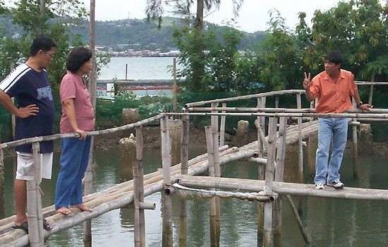 SSU-Mercedes campus fishpond