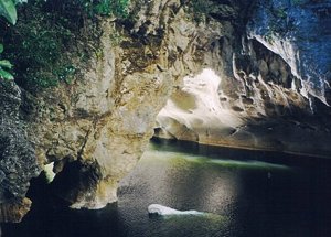 The Sohoton Natural Bridge in Basey, Samar