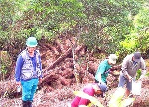 Retrieved logs for disposition in Samar