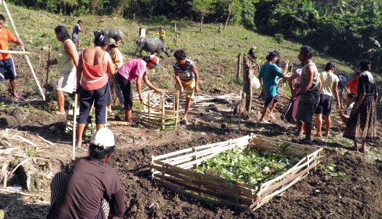 farmers on the field