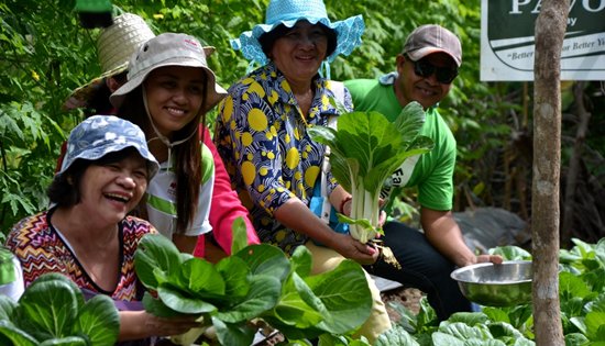 high value organic vegetable production