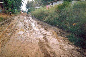 The Bulao farm to market road in Basey, Samar