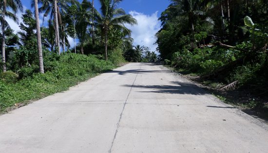 Access Road Project leading to Bangon Falls