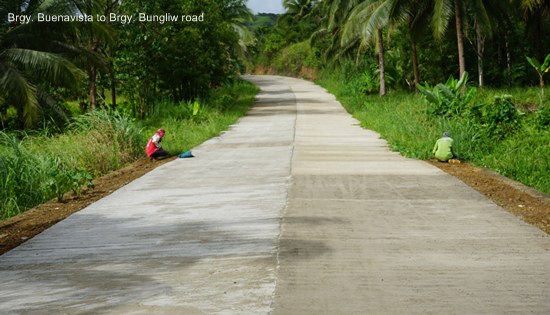 Brgy. Buenavista to Brgy. Bungliw road