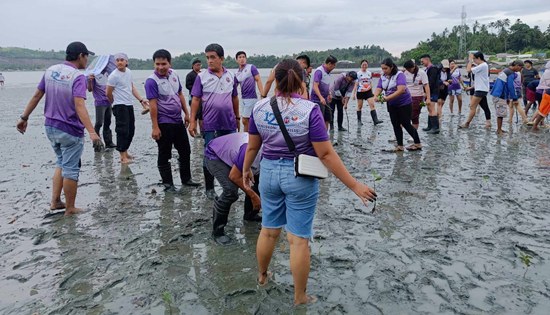 DPWH 127th anniversary mangrove planting