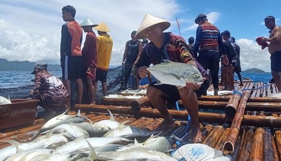 Set Net (Lambaklad) project