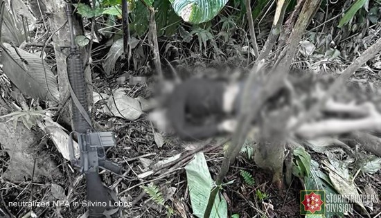 neutralized NPA in Silvino Lobos