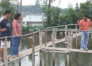 Demo fish pond at the SSU Mercedes campus
